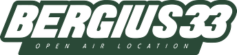 BERGIUS33 logo